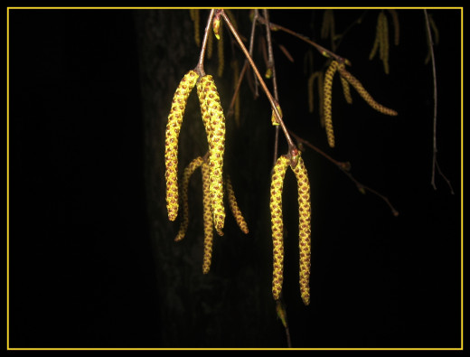 26172 (a): :1662x1262